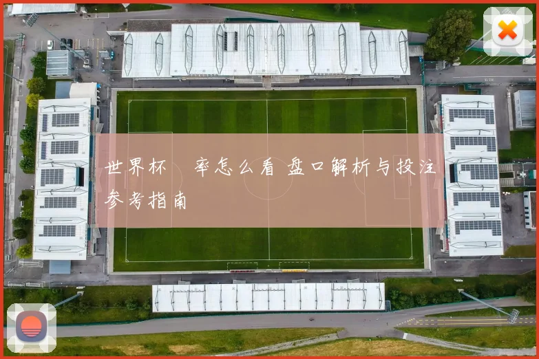 世界杯賠率怎么看 盘口解析与投注参考指南