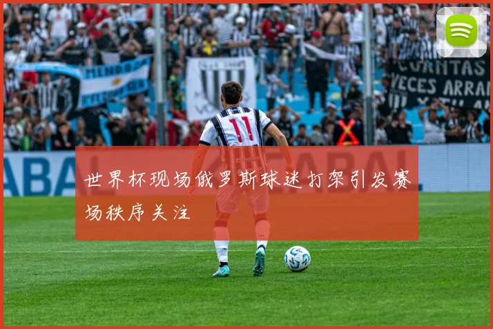 世界杯现场俄罗斯球迷打架引发赛场秩序关注