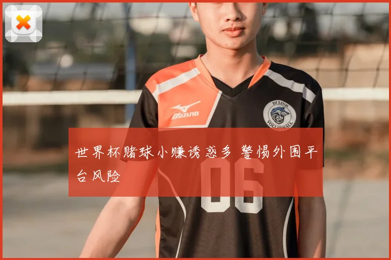 世界杯赌球小赚诱惑多 警惕外围平台风险