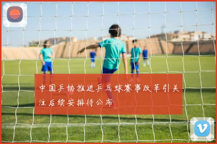 中国乒协推进乒乓球赛事改革引关注后续安排待公布